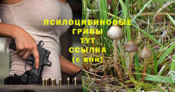 бошки Армянск