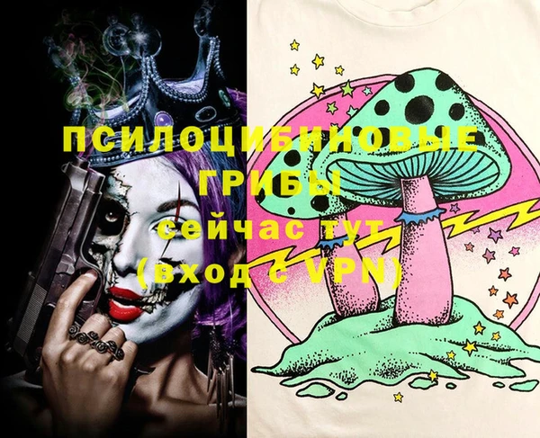 MDMA Гатчина